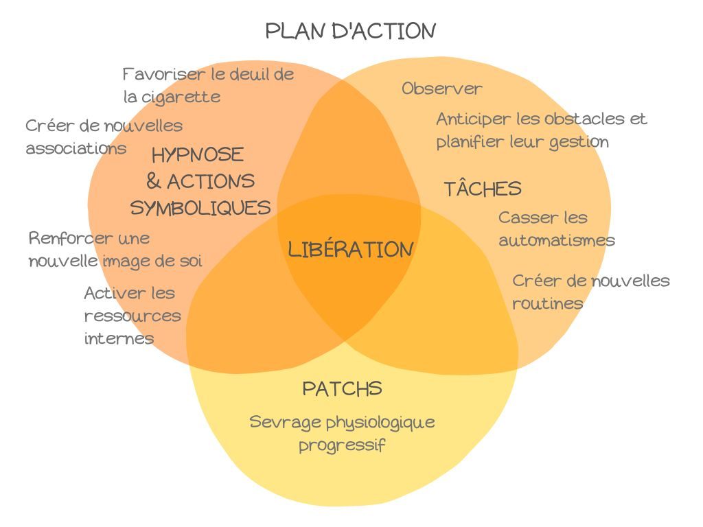 Illustration du plan d'action en fonction des trois axes de la démarche